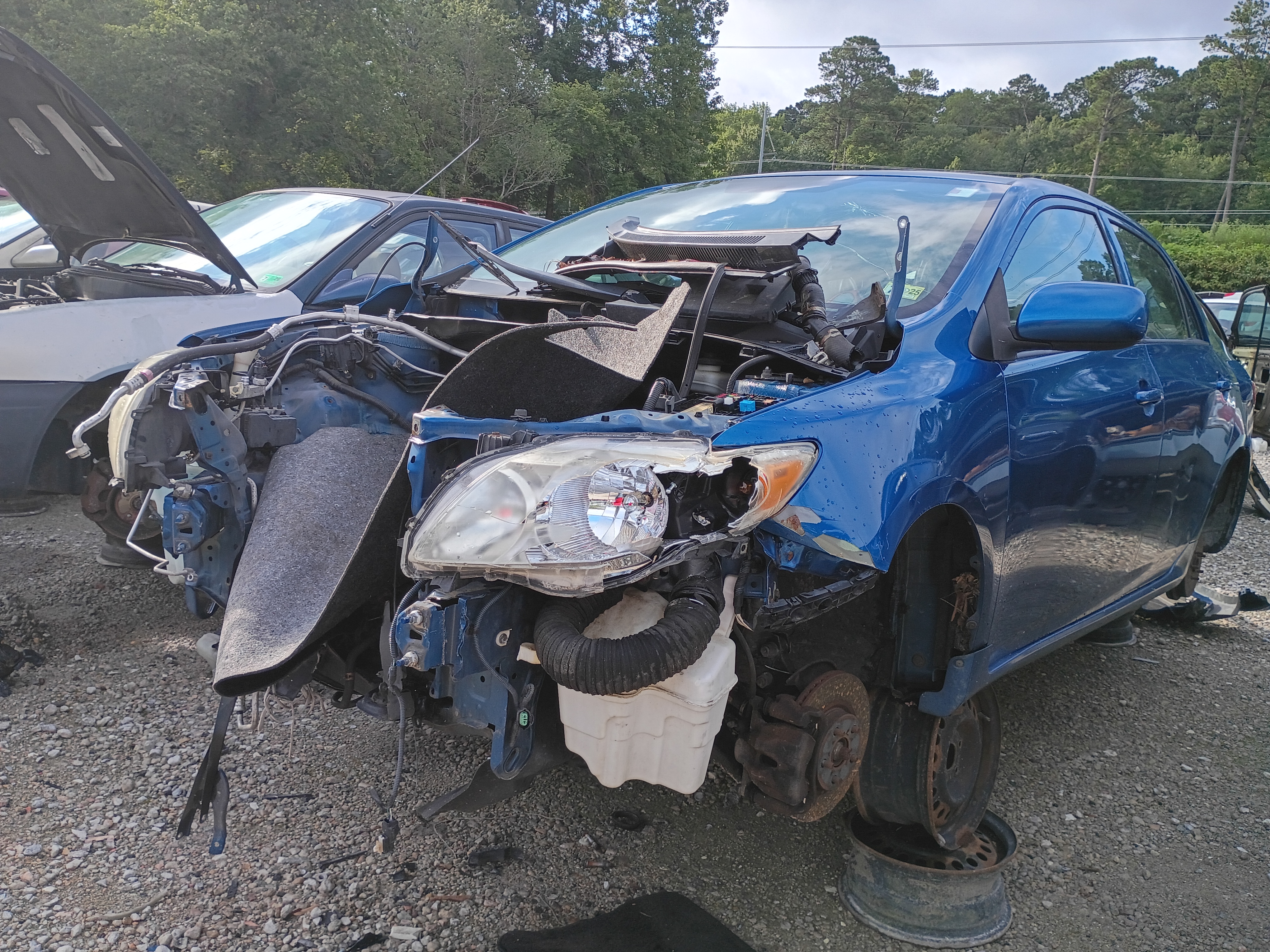 2009 TOYOTA Corolla