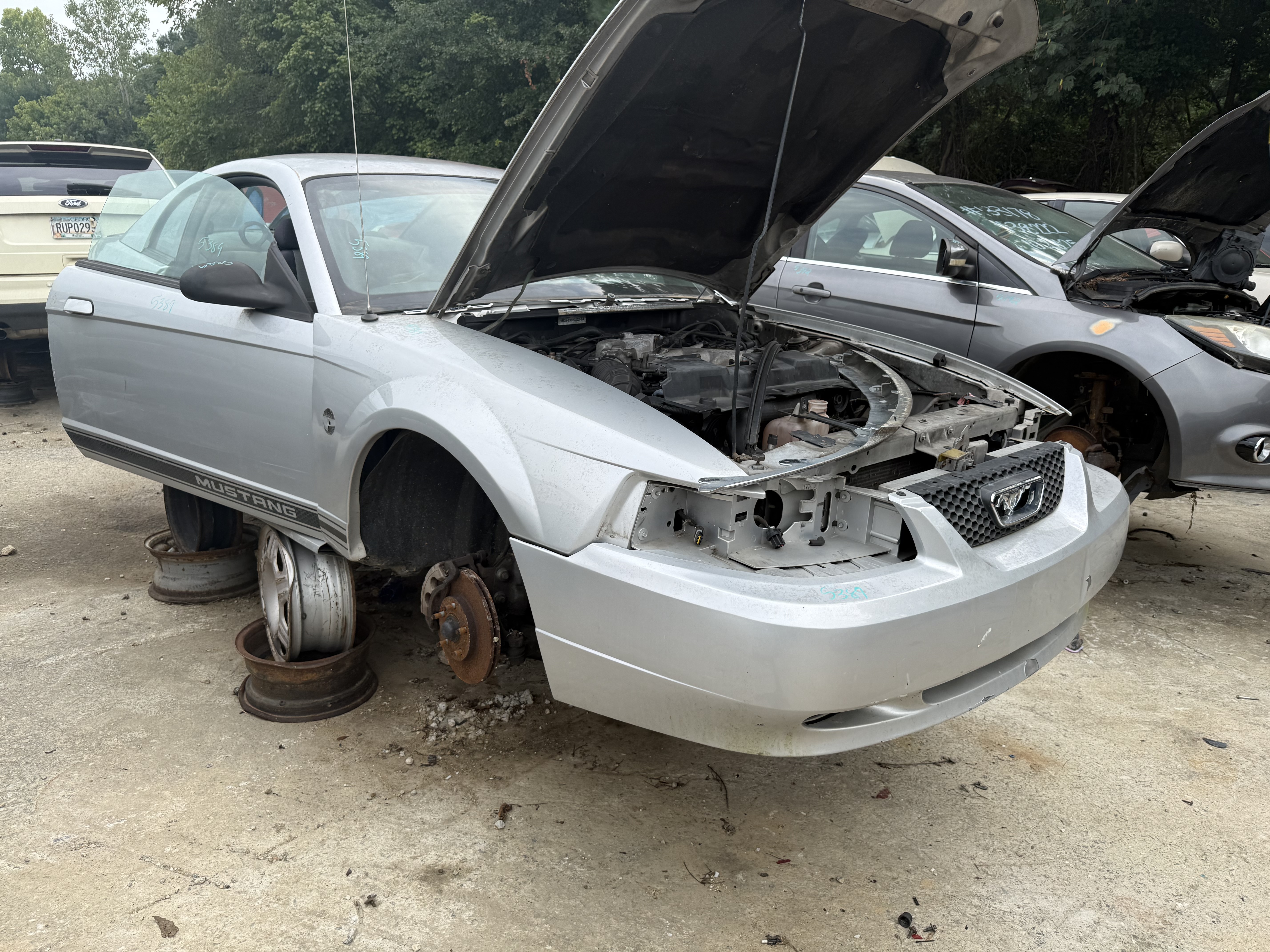 2004 FORD Mustang