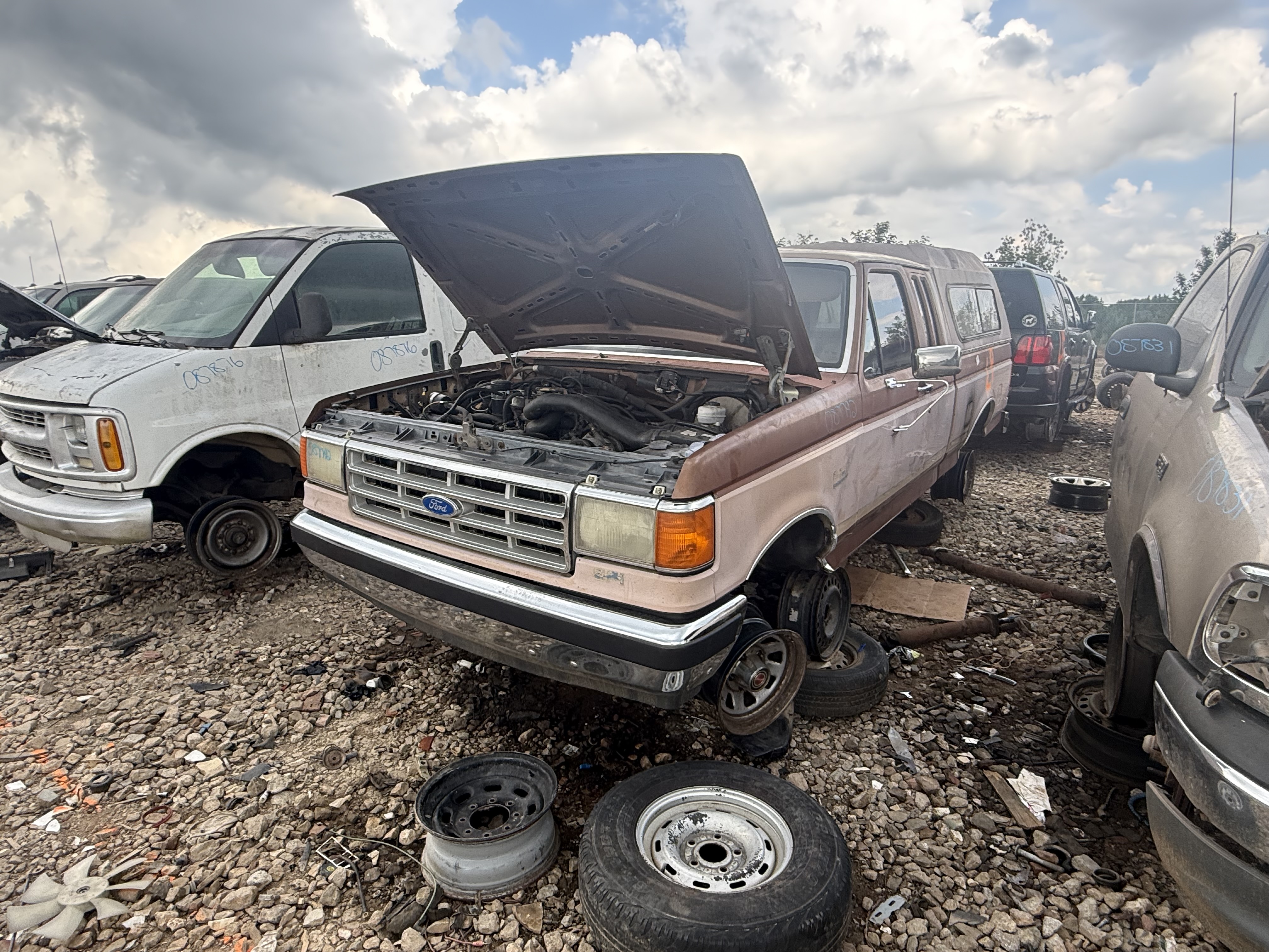 1988 FORD F-150