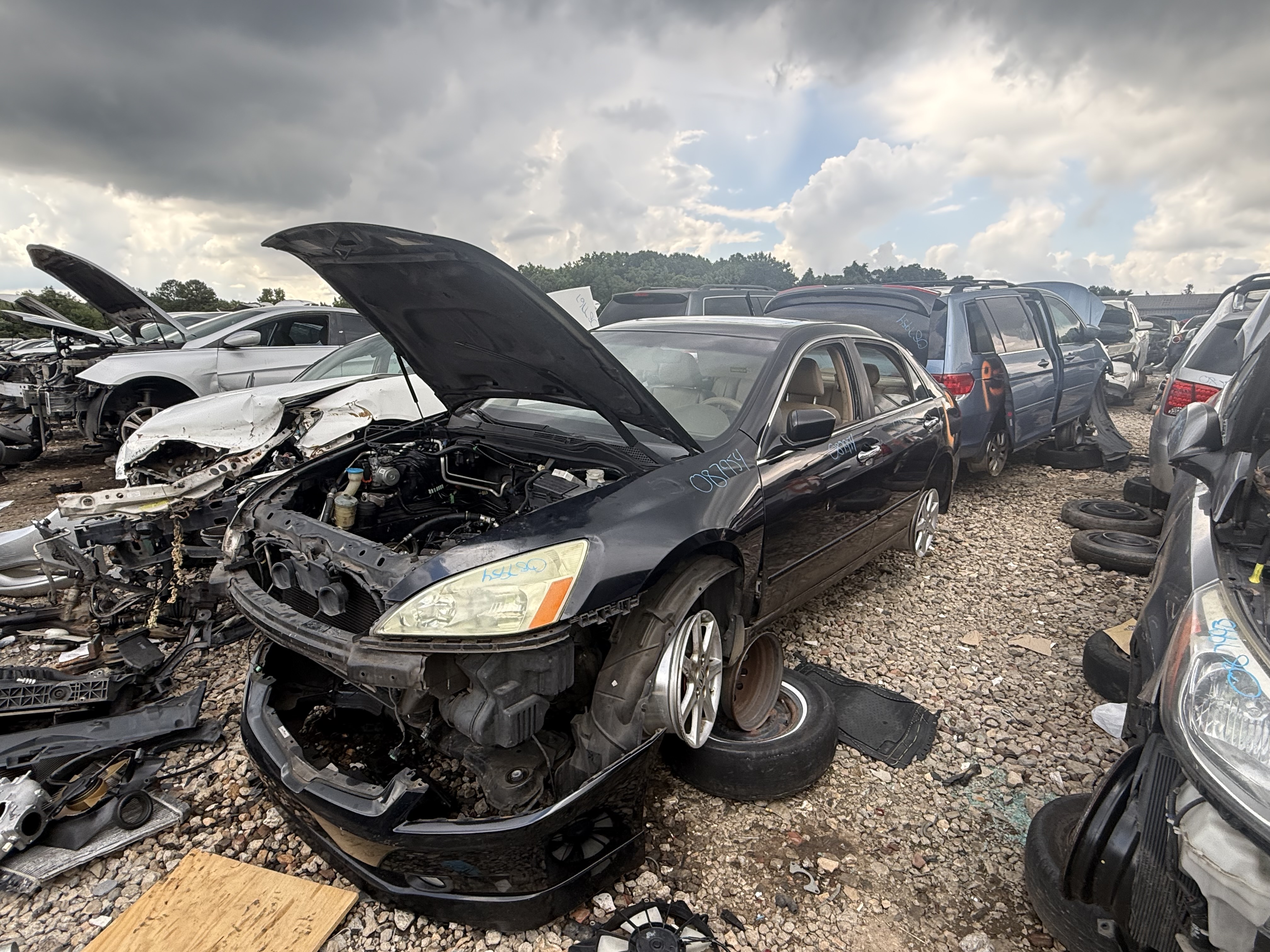 2004 HONDA Accord