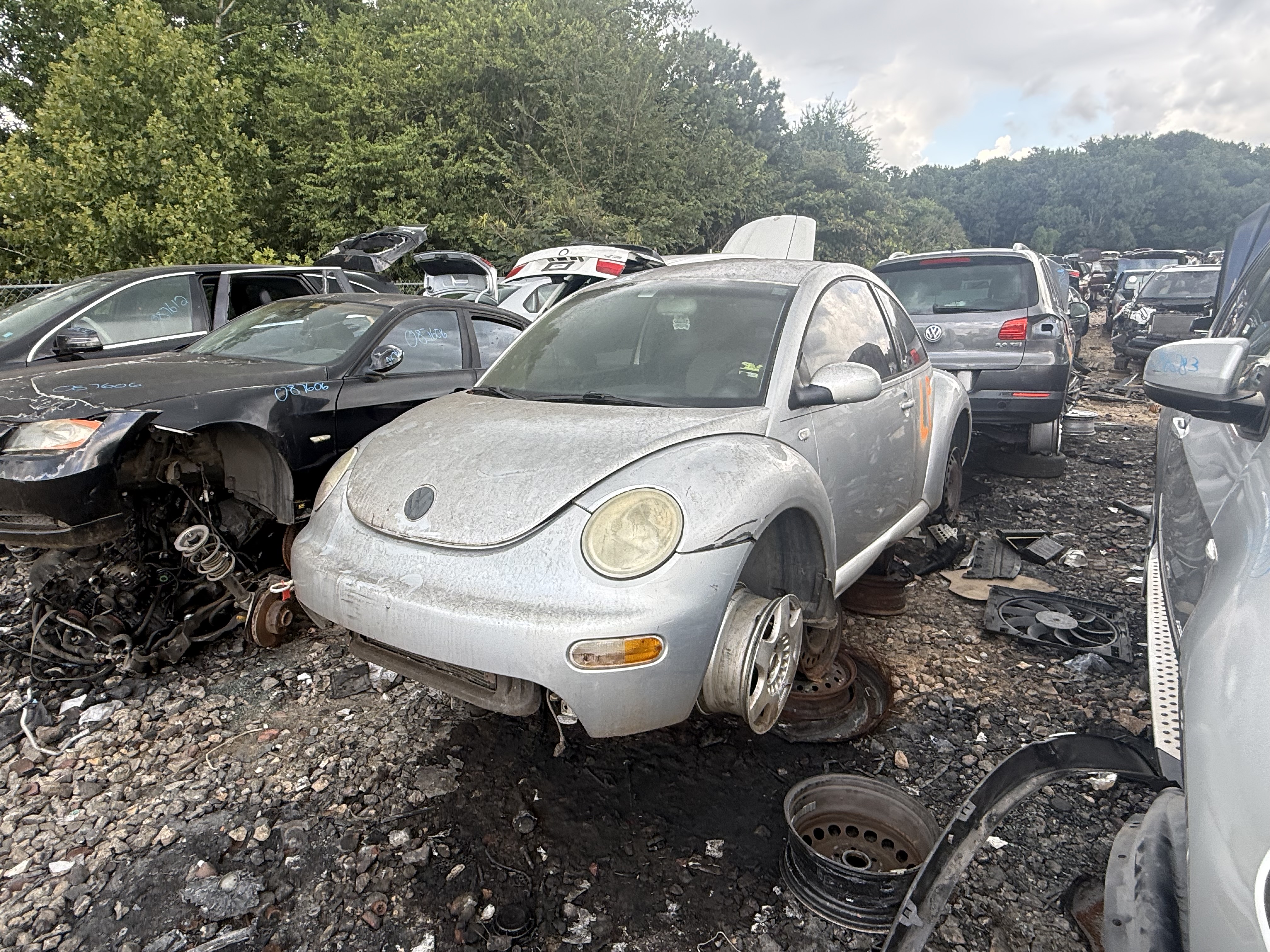 2001 VOLKSWAGEN Beetle
