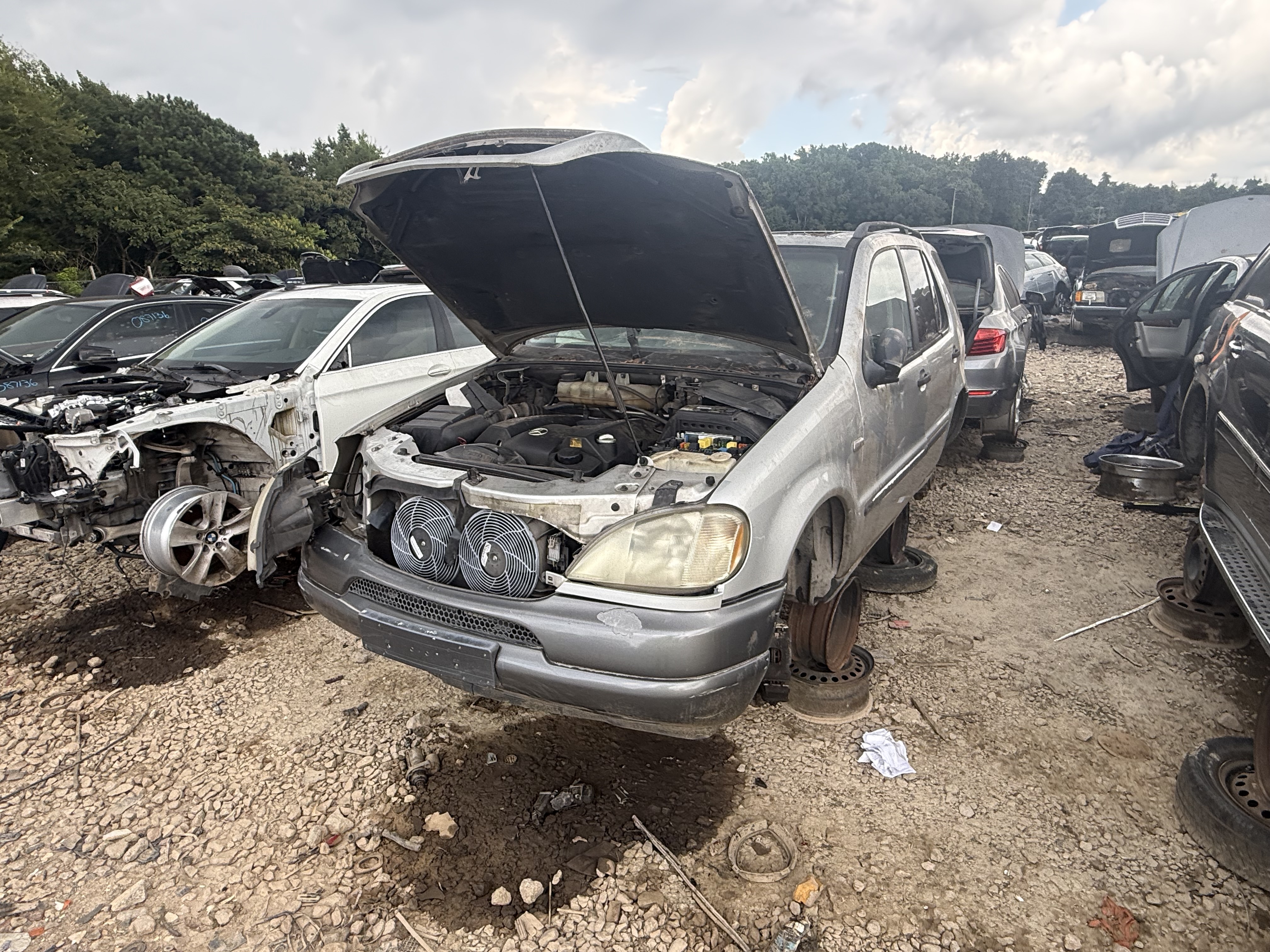 1999 MERCEDES-BENZ M-Class