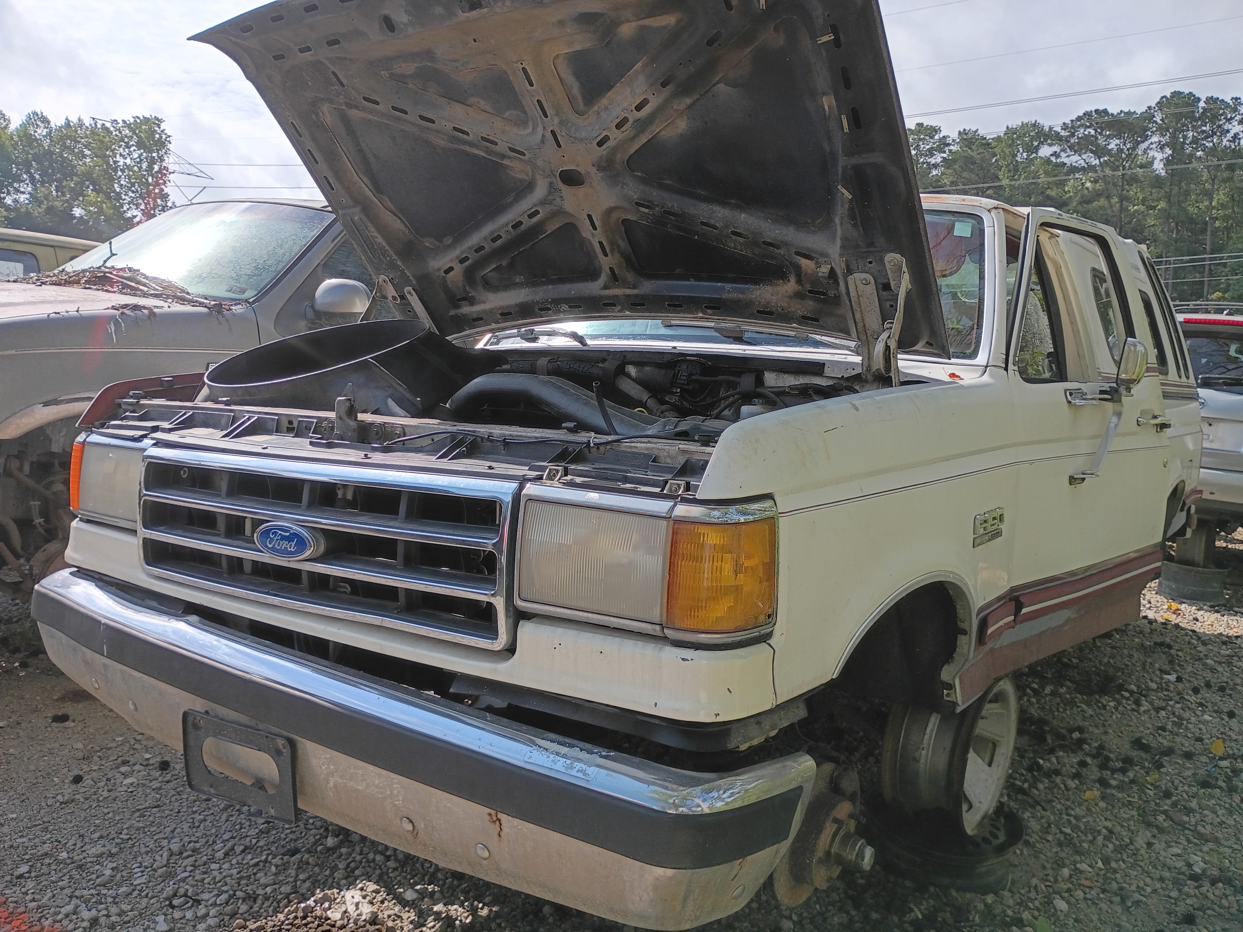 1991 FORD F-150