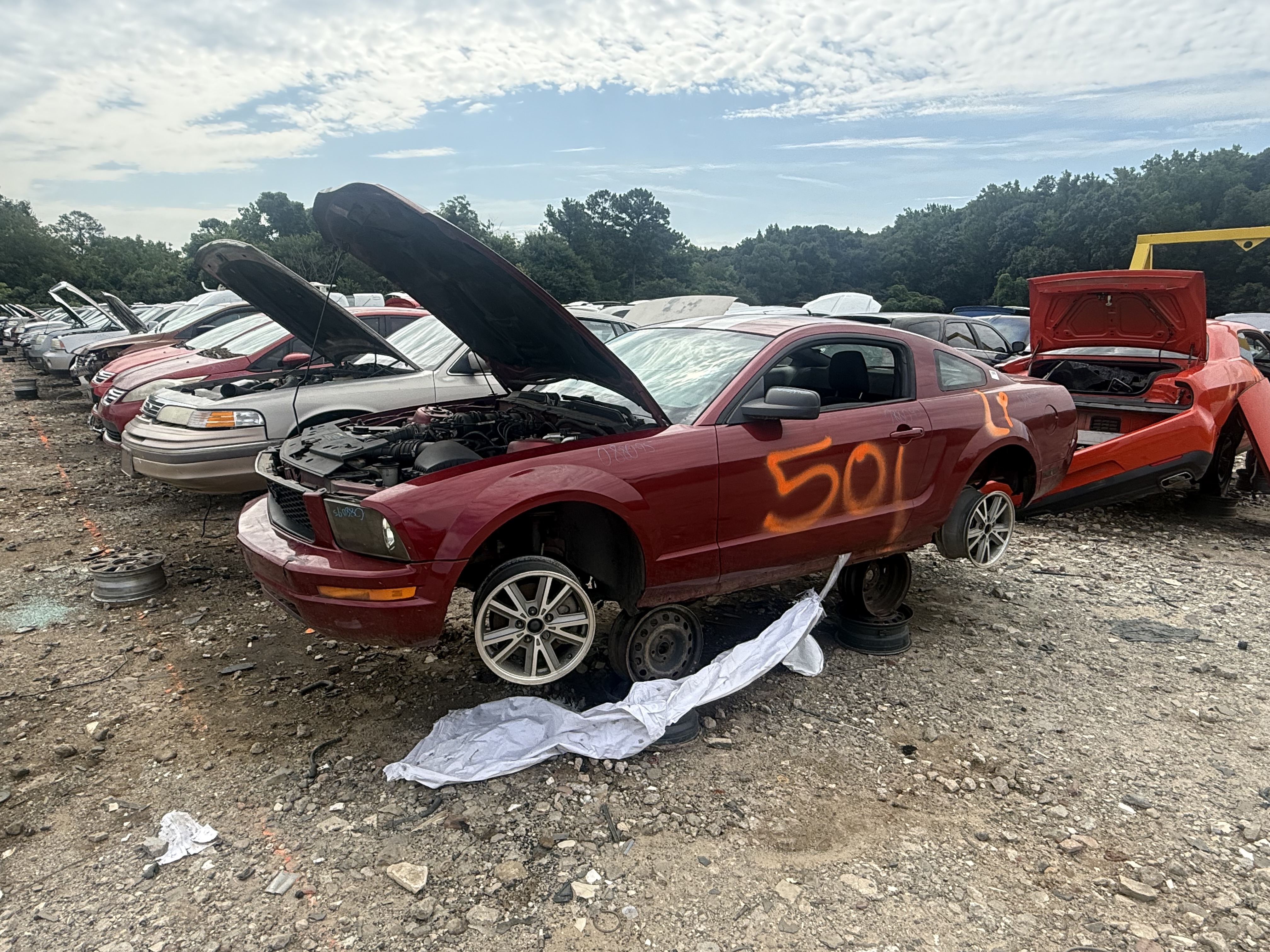 2005 FORD Mustang