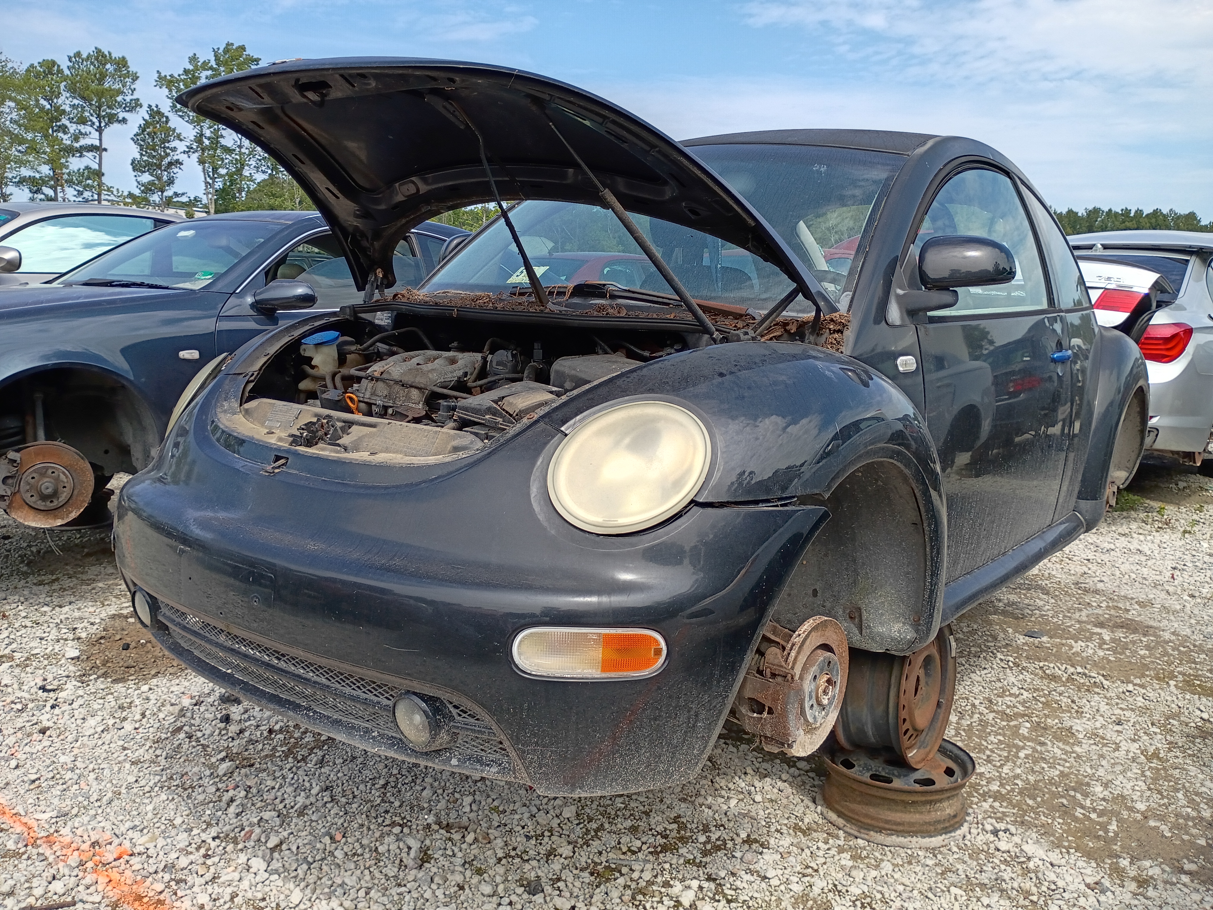 1999 VOLKSWAGEN Beetle