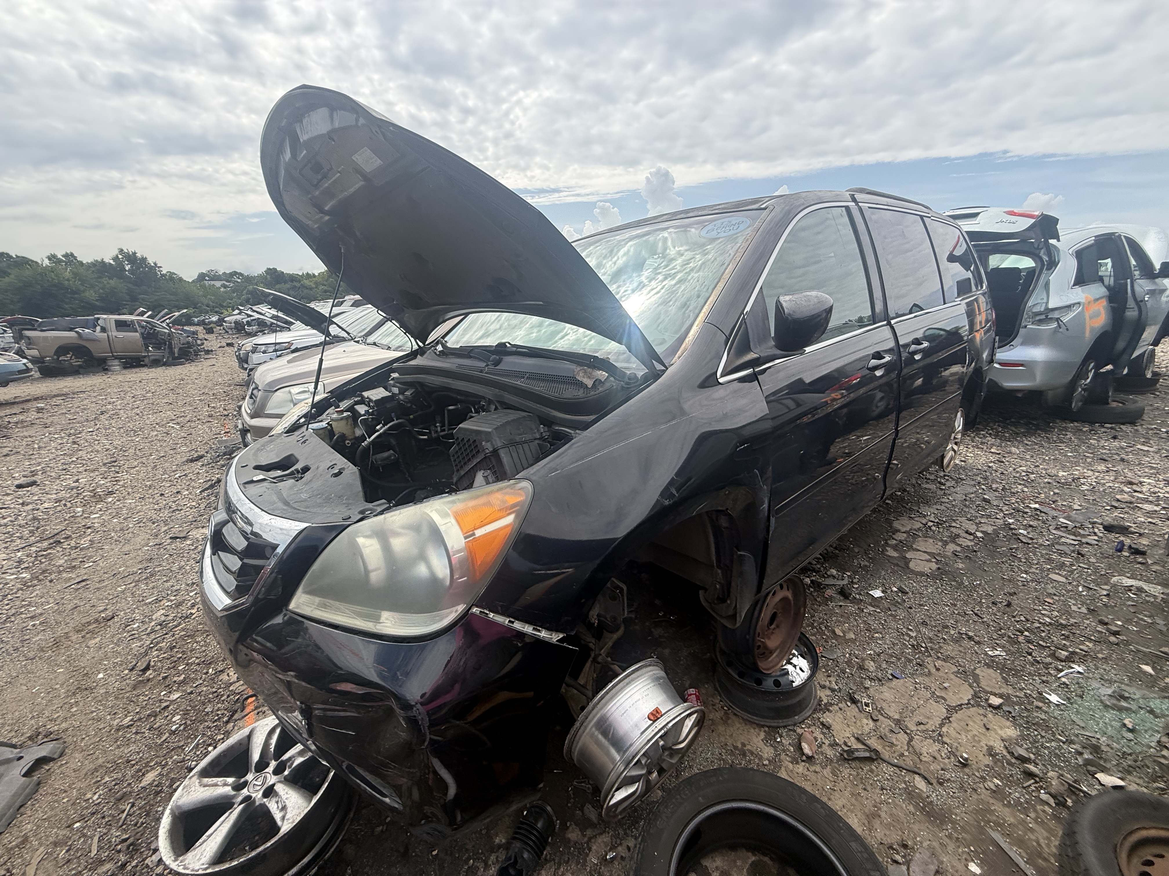 2010 HONDA Odyssey