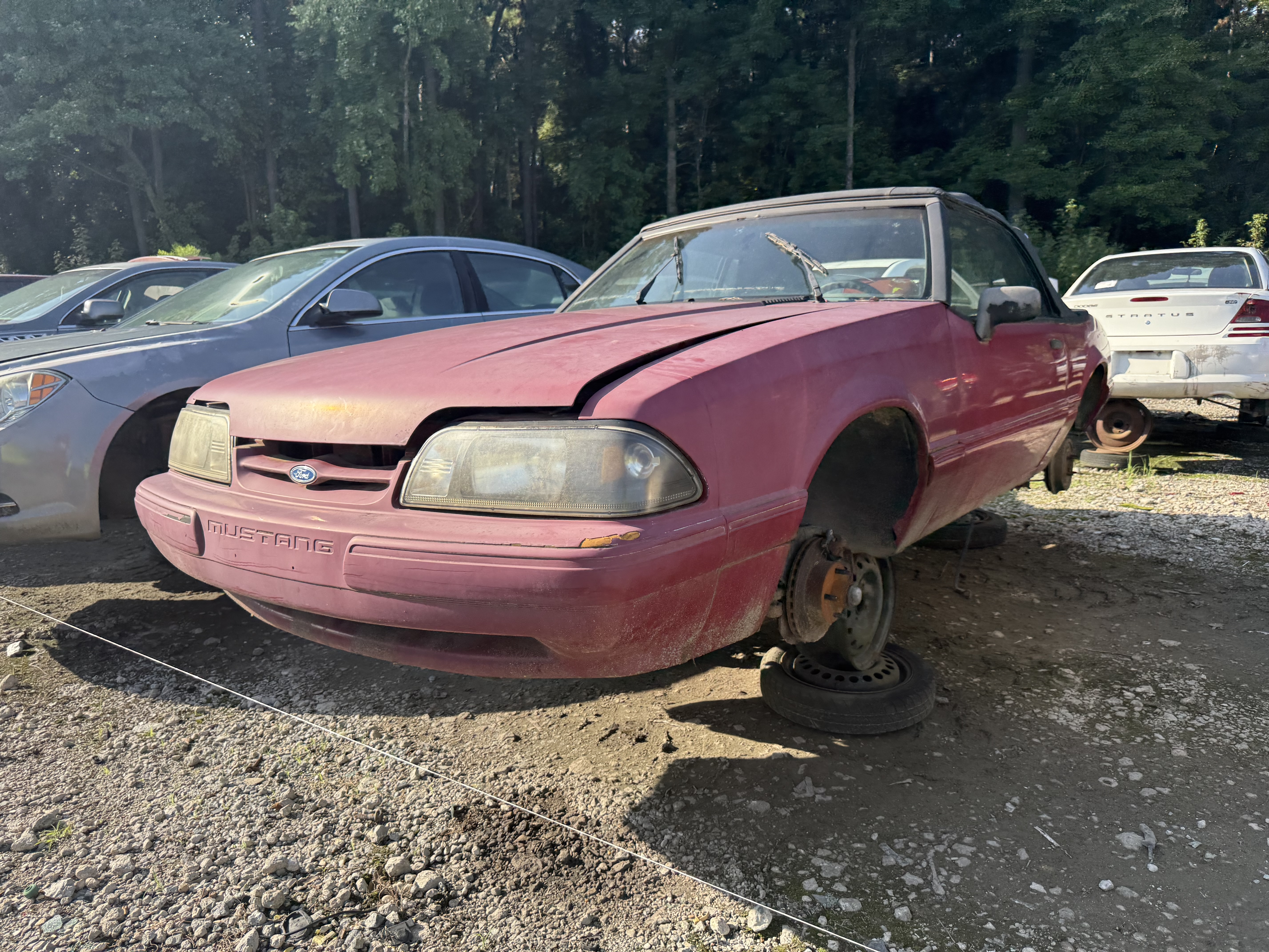1989 FORD Mustang
