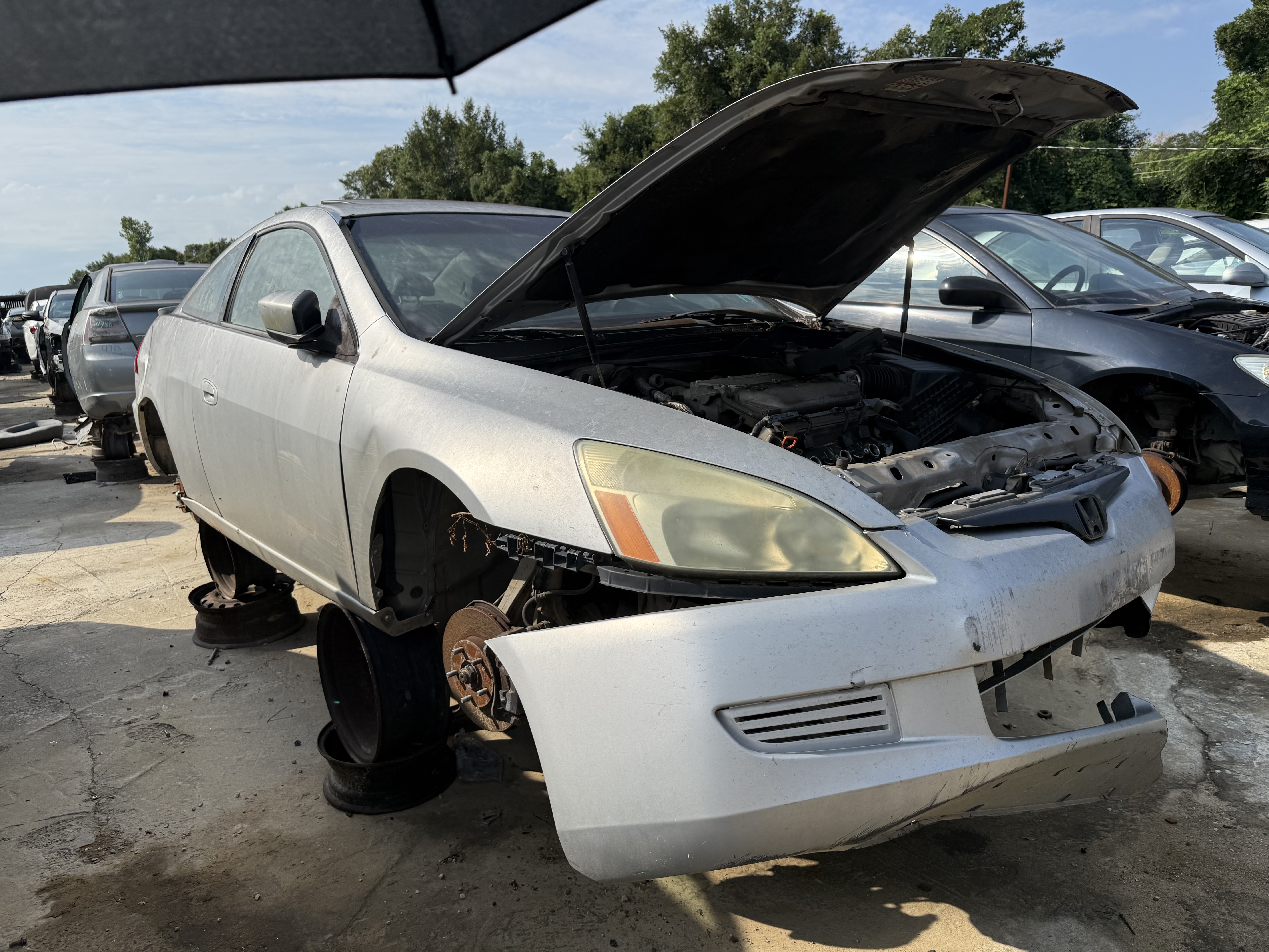 2004 HONDA Accord