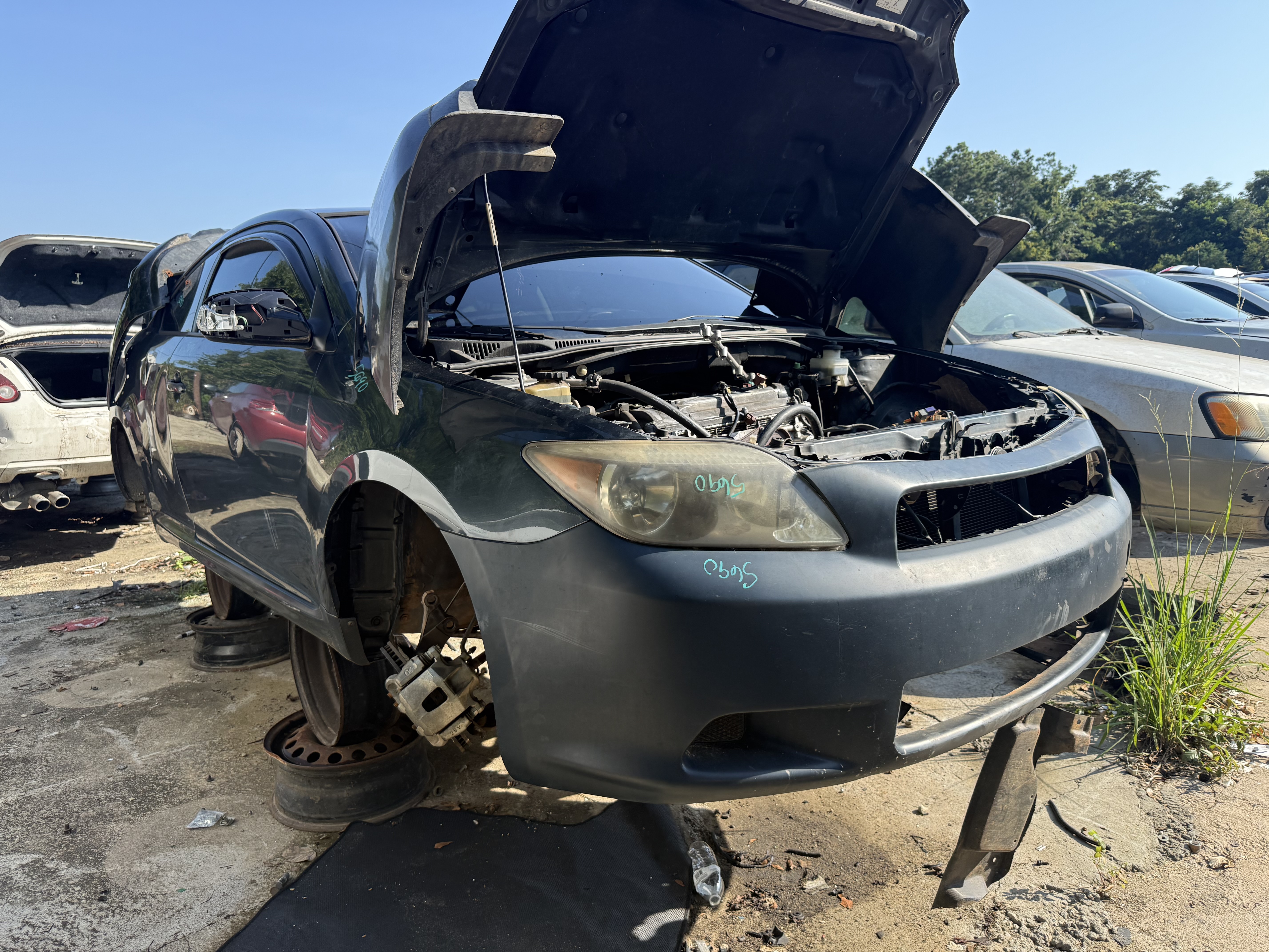 2005 TOYOTA Scion tC