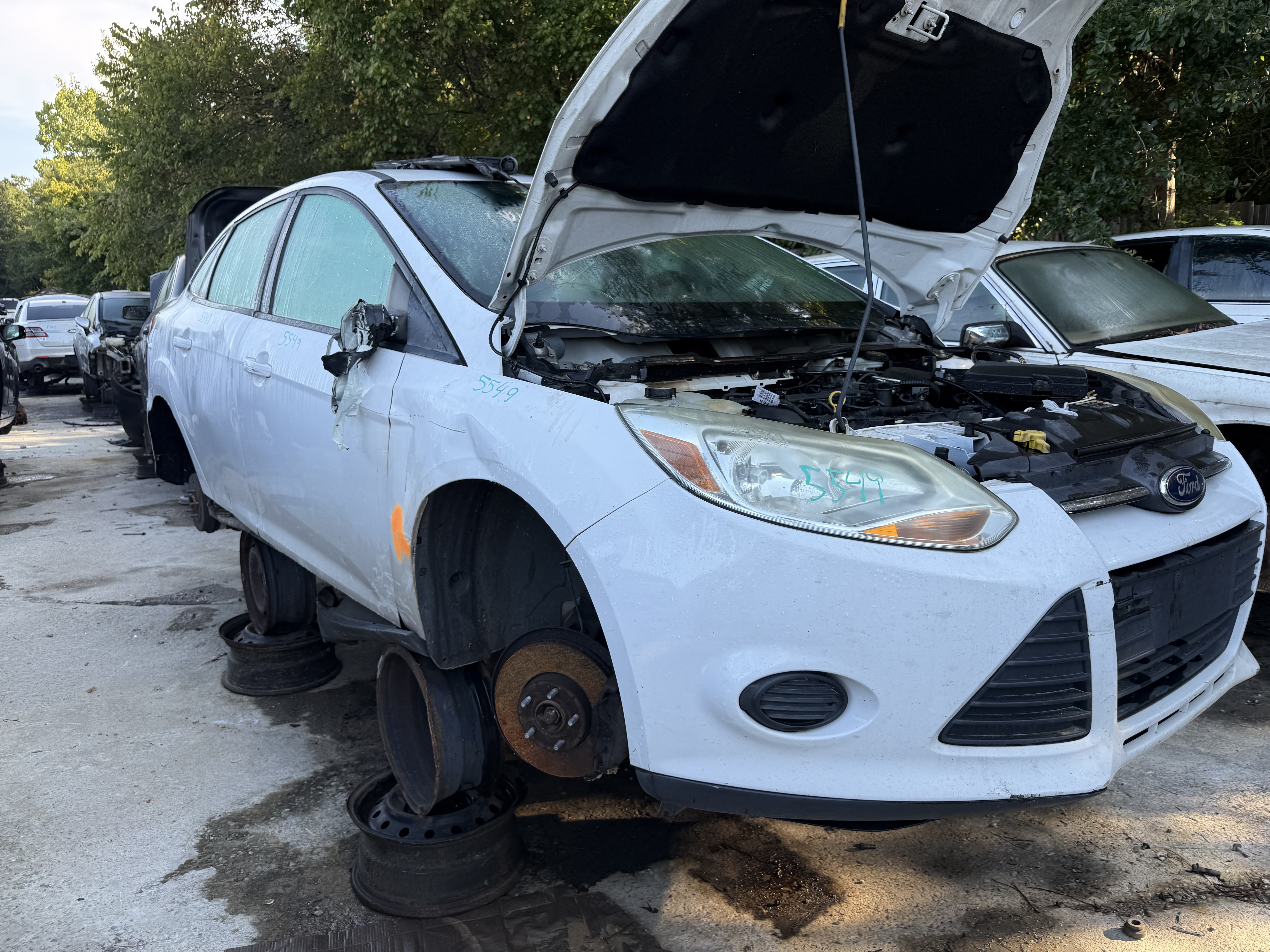 2013 FORD Focus