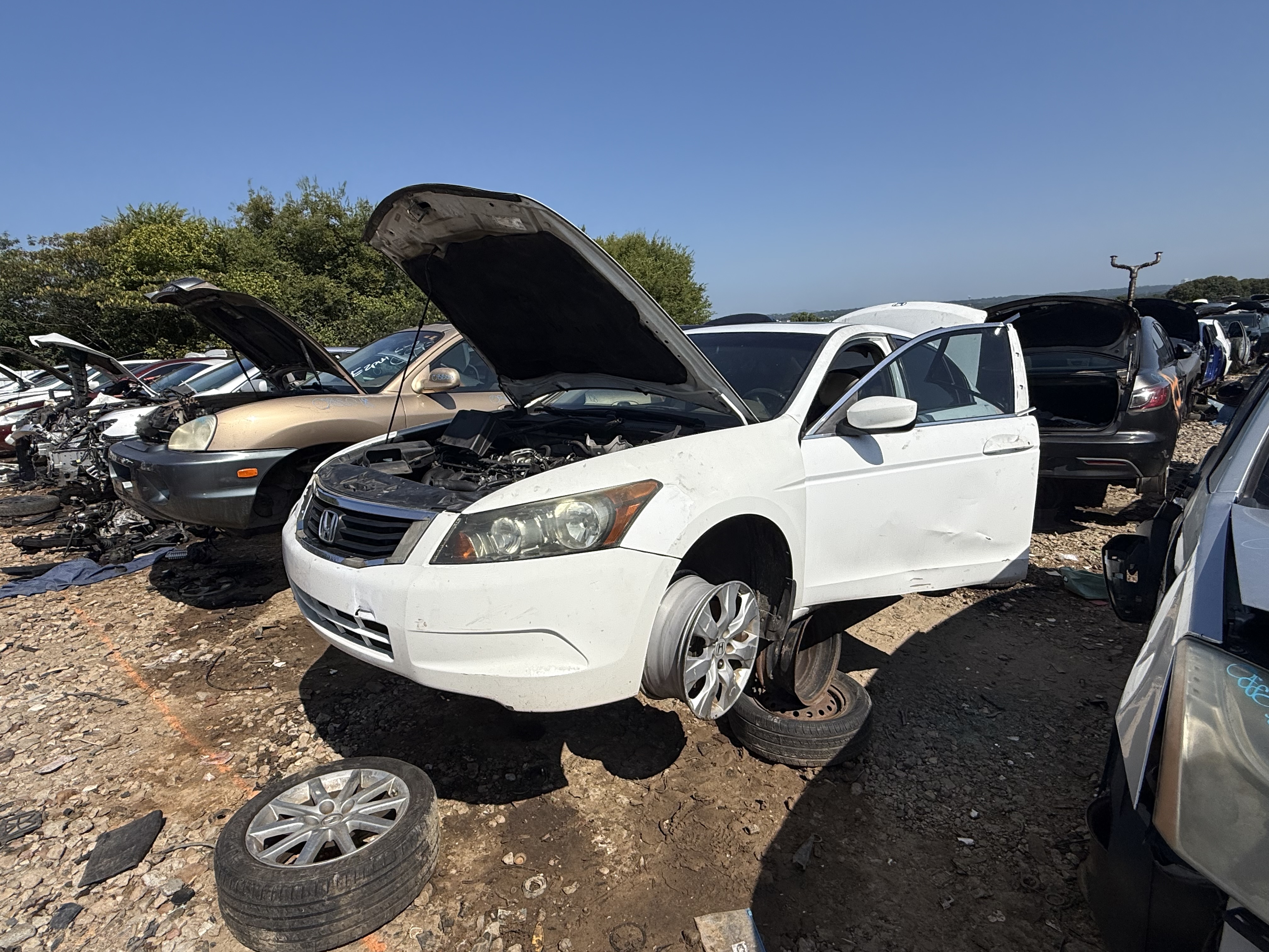 2008 HONDA Accord