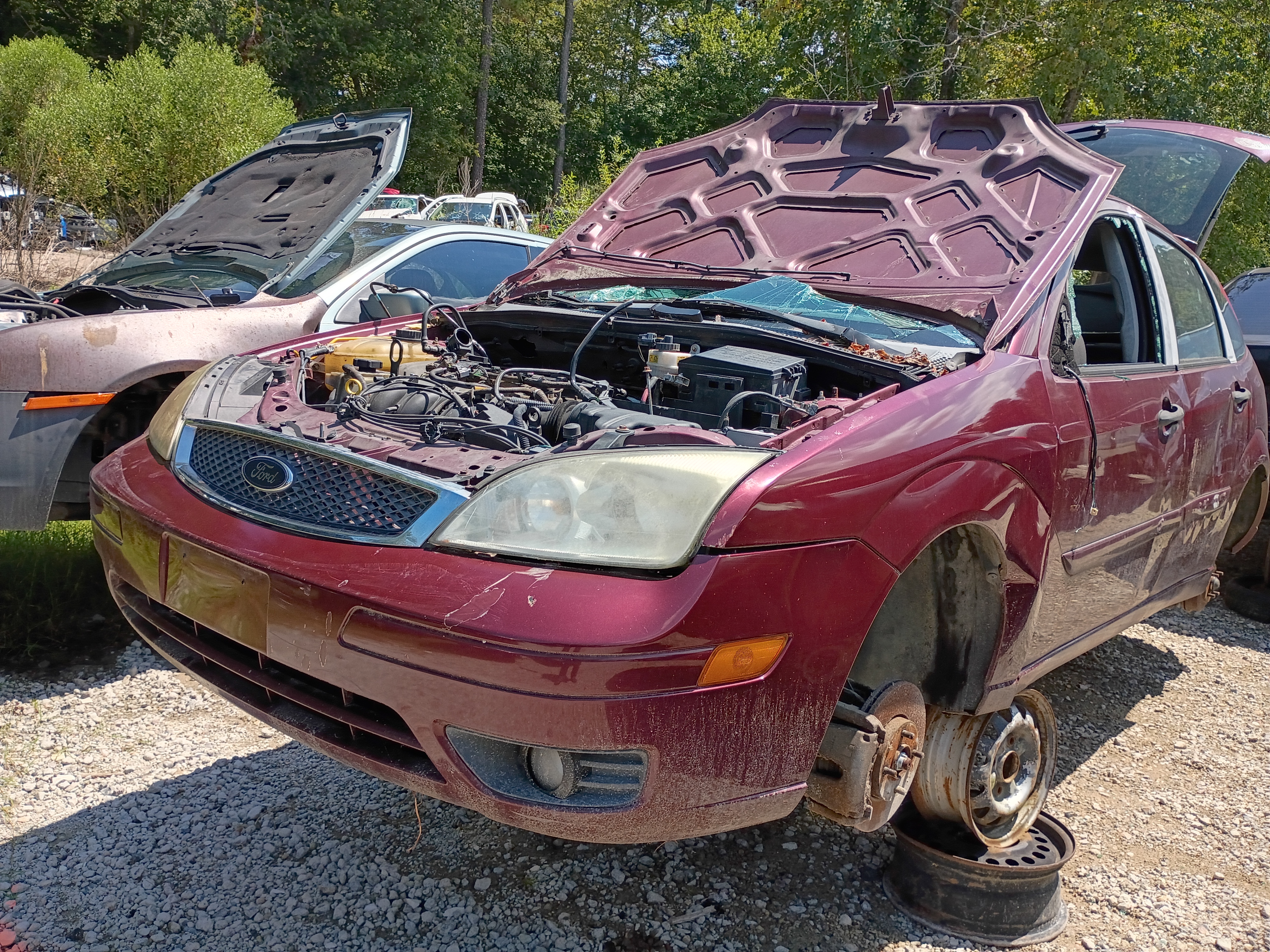 2007 FORD Focus