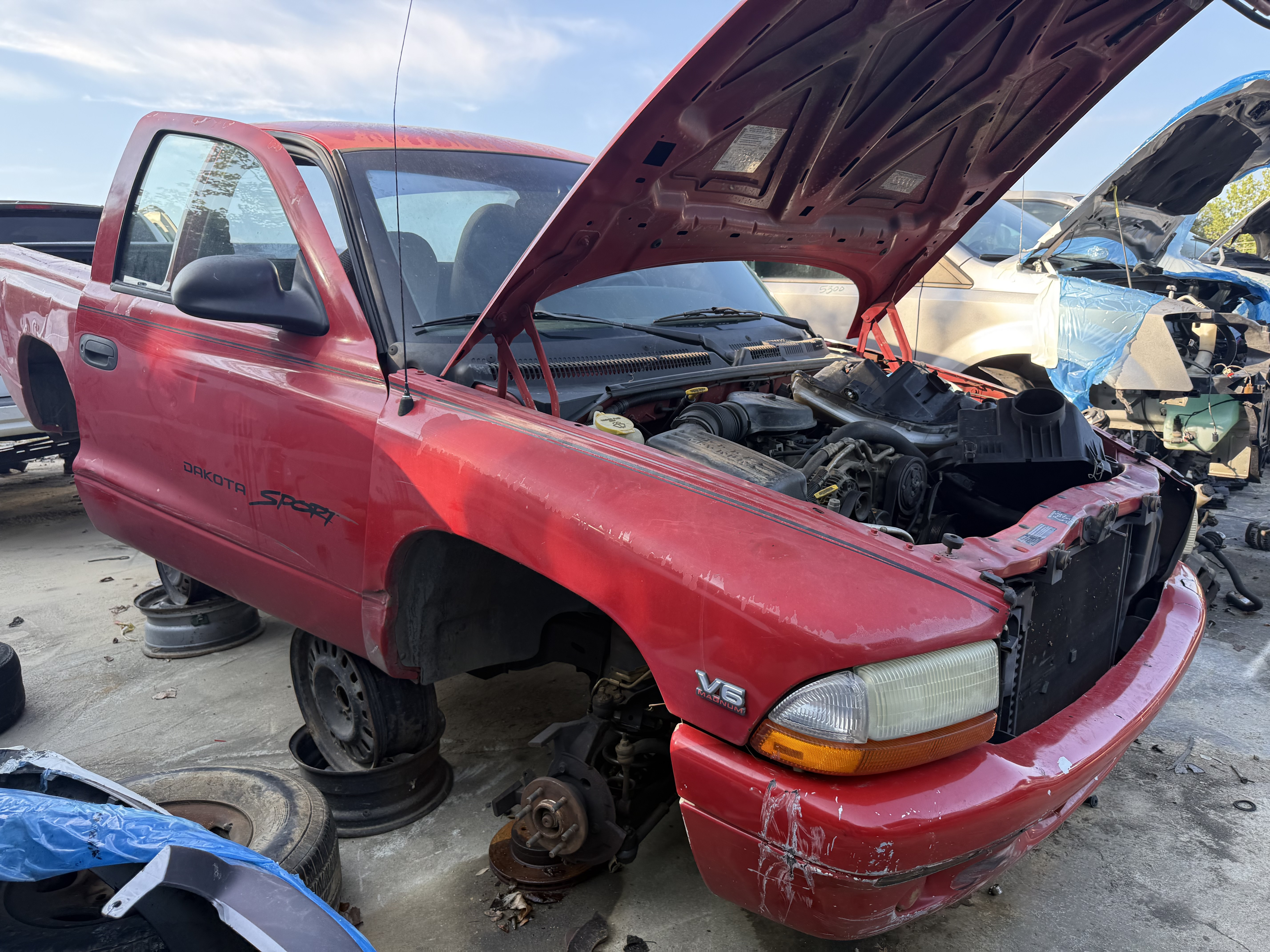 1999 DODGE Dakota