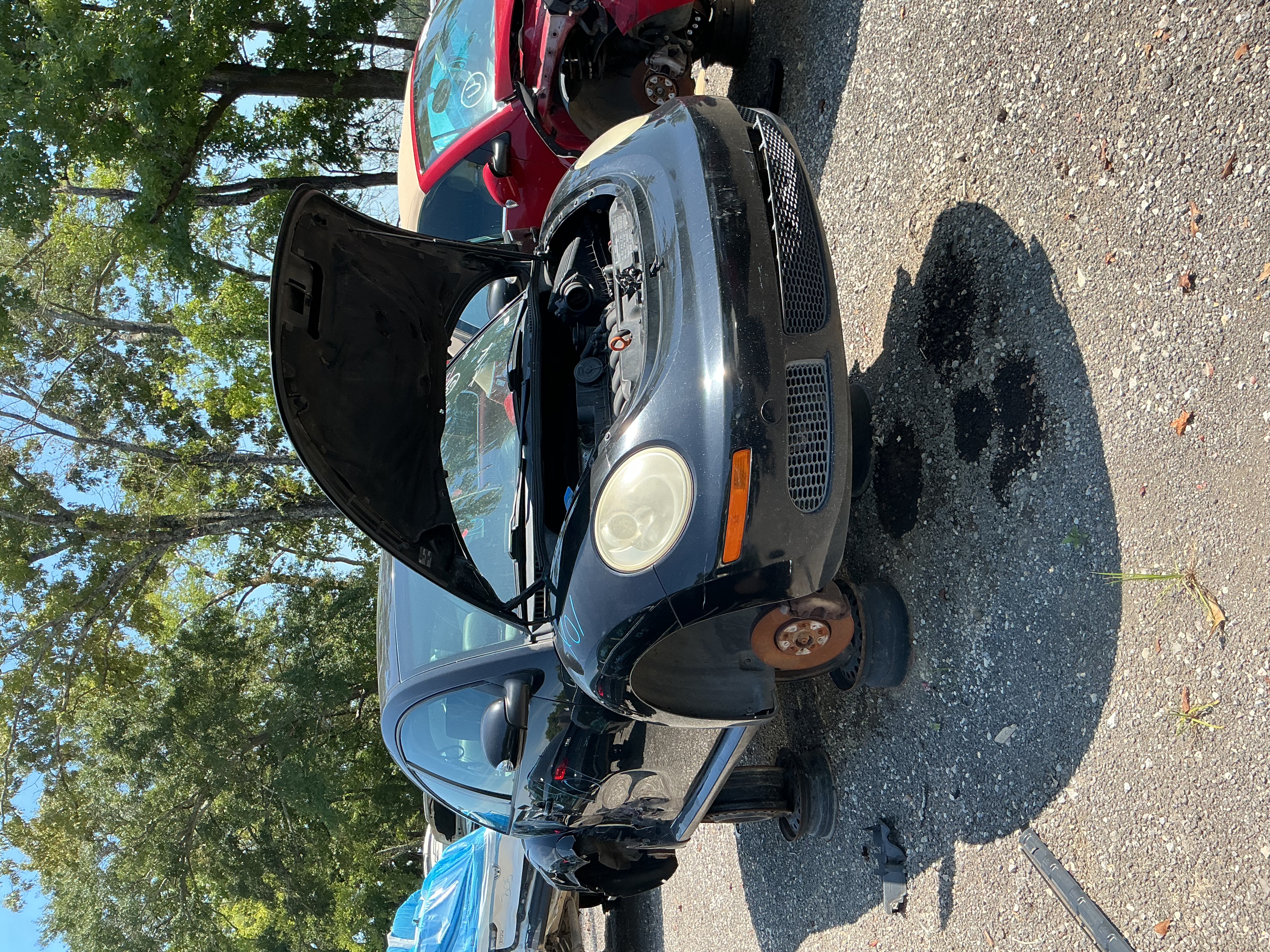 2009 VOLKSWAGEN Beetle