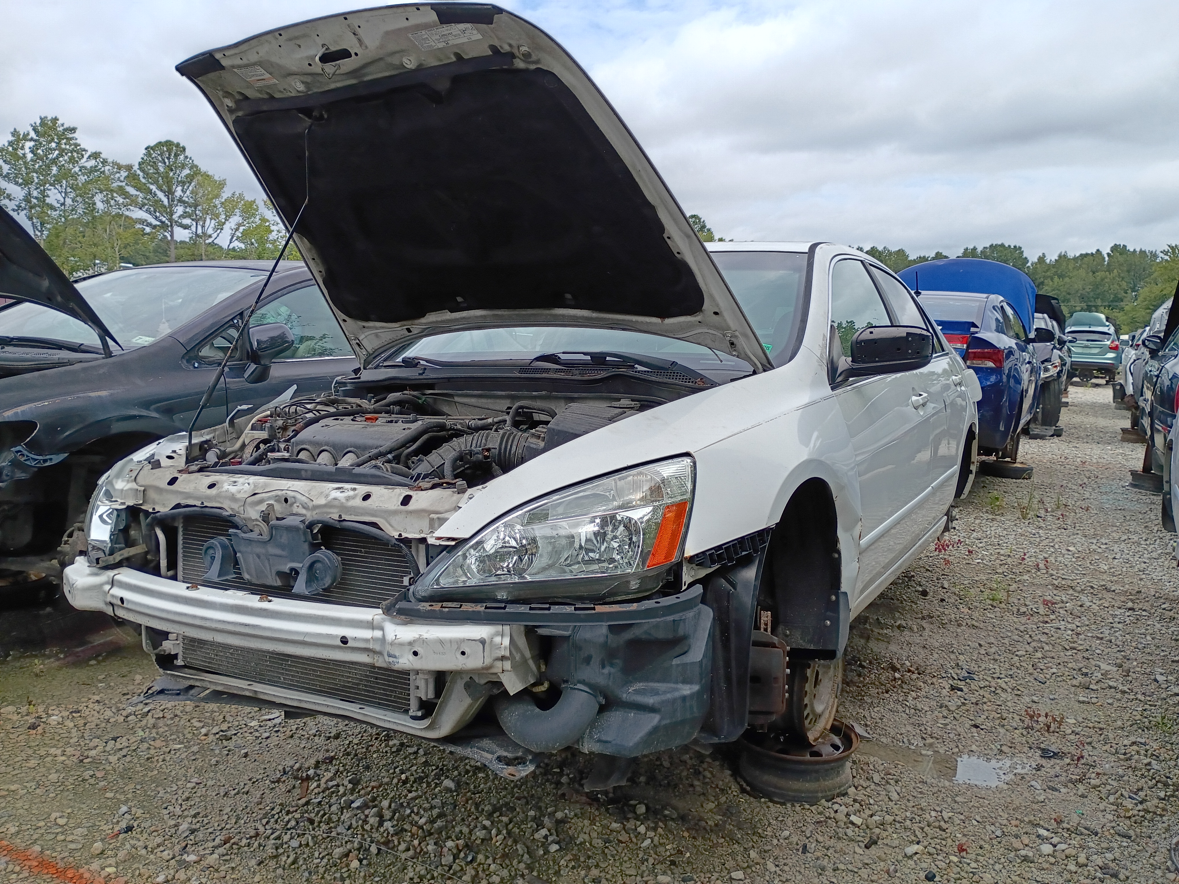 2006 HONDA Accord