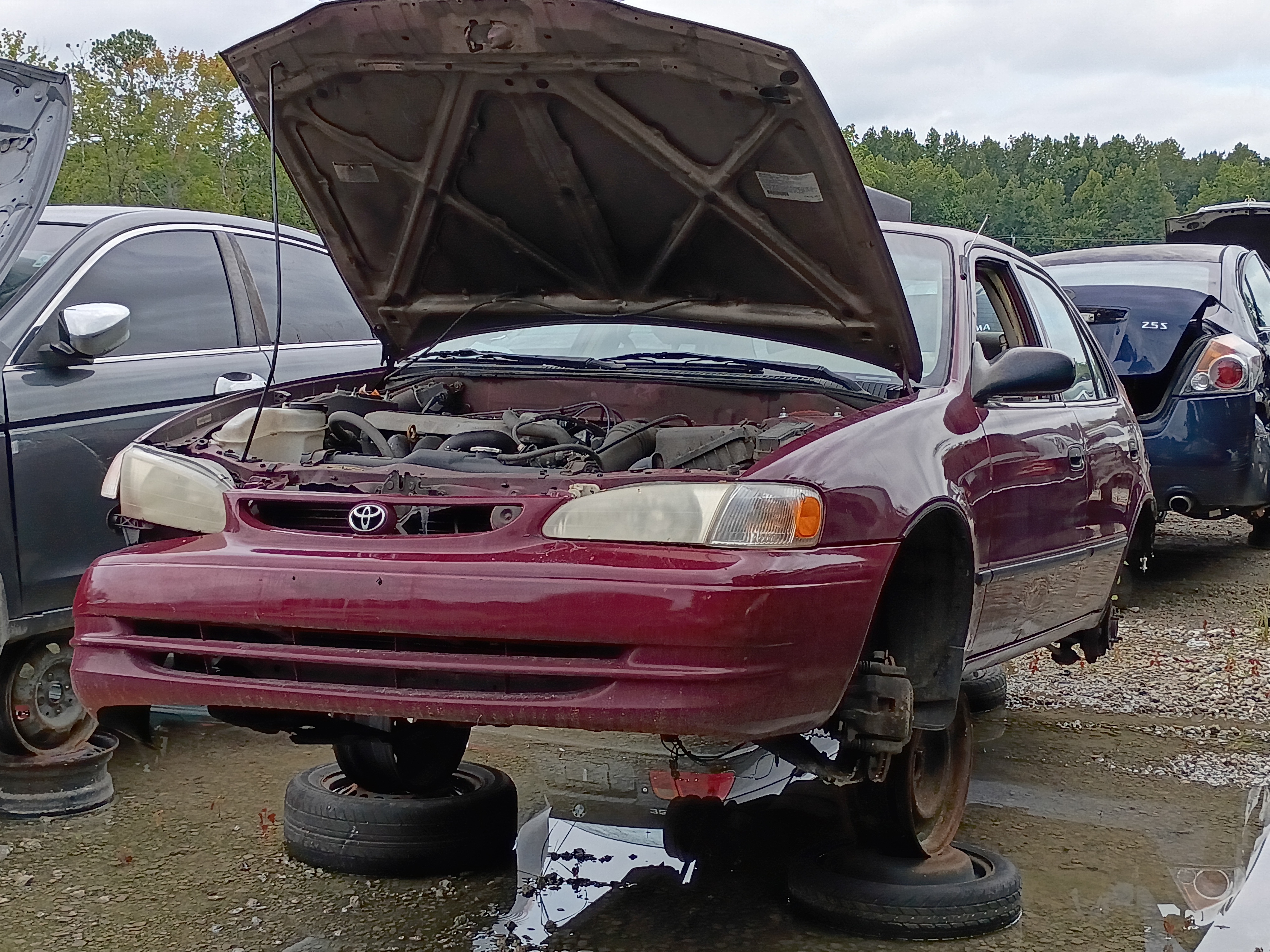 1998 TOYOTA Corolla