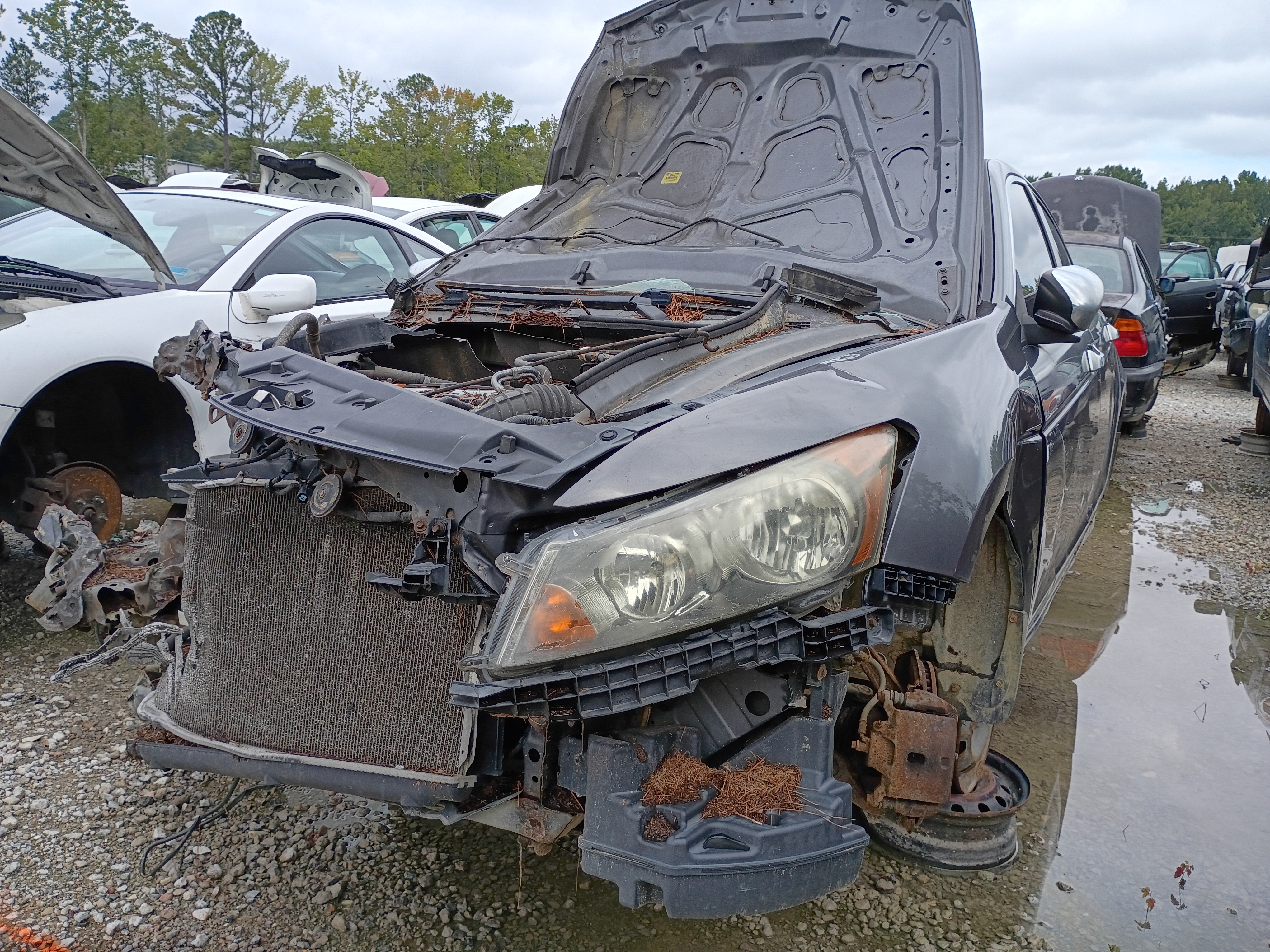 2008 HONDA Accord