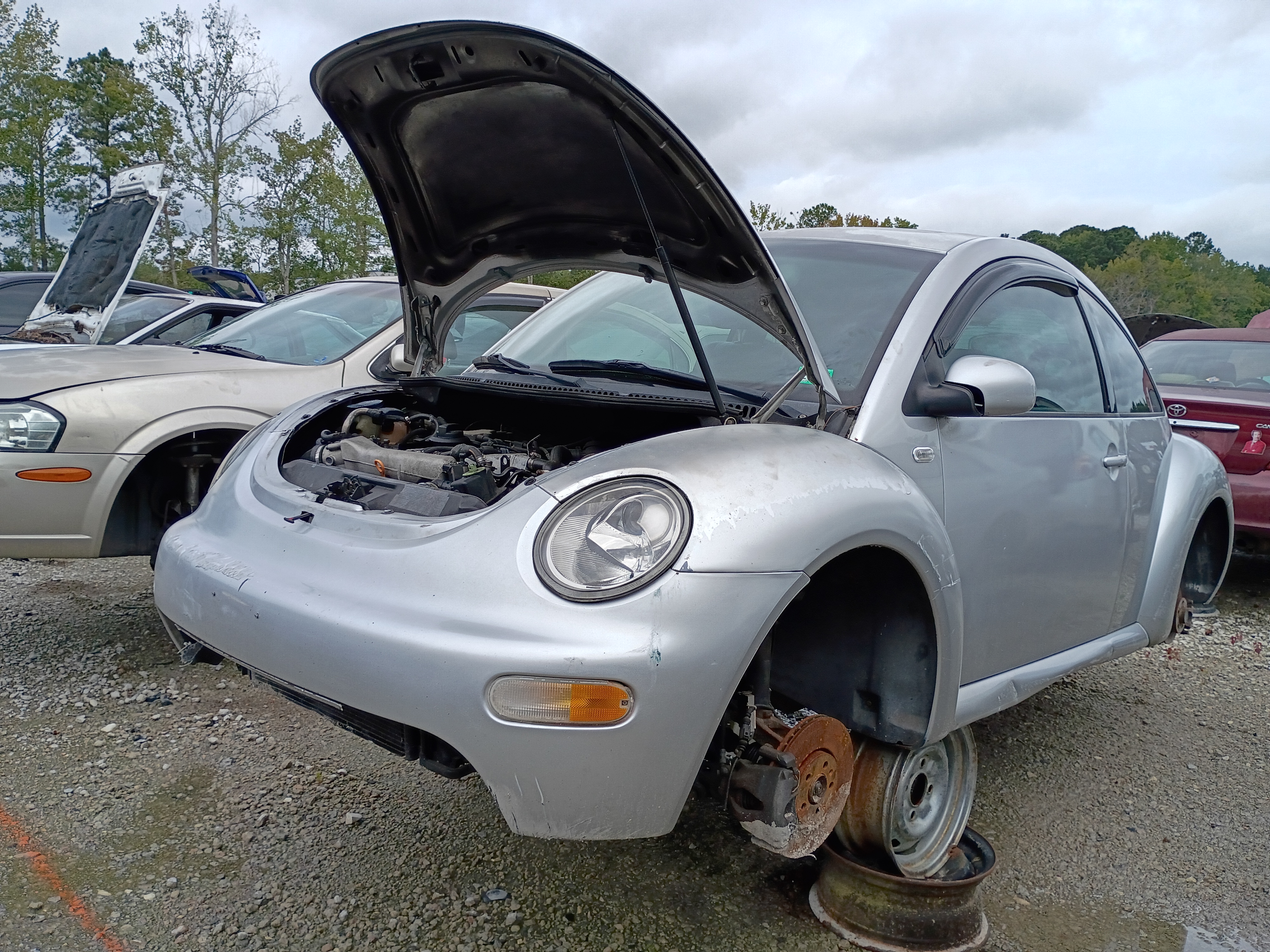2001 VOLKSWAGEN Beetle