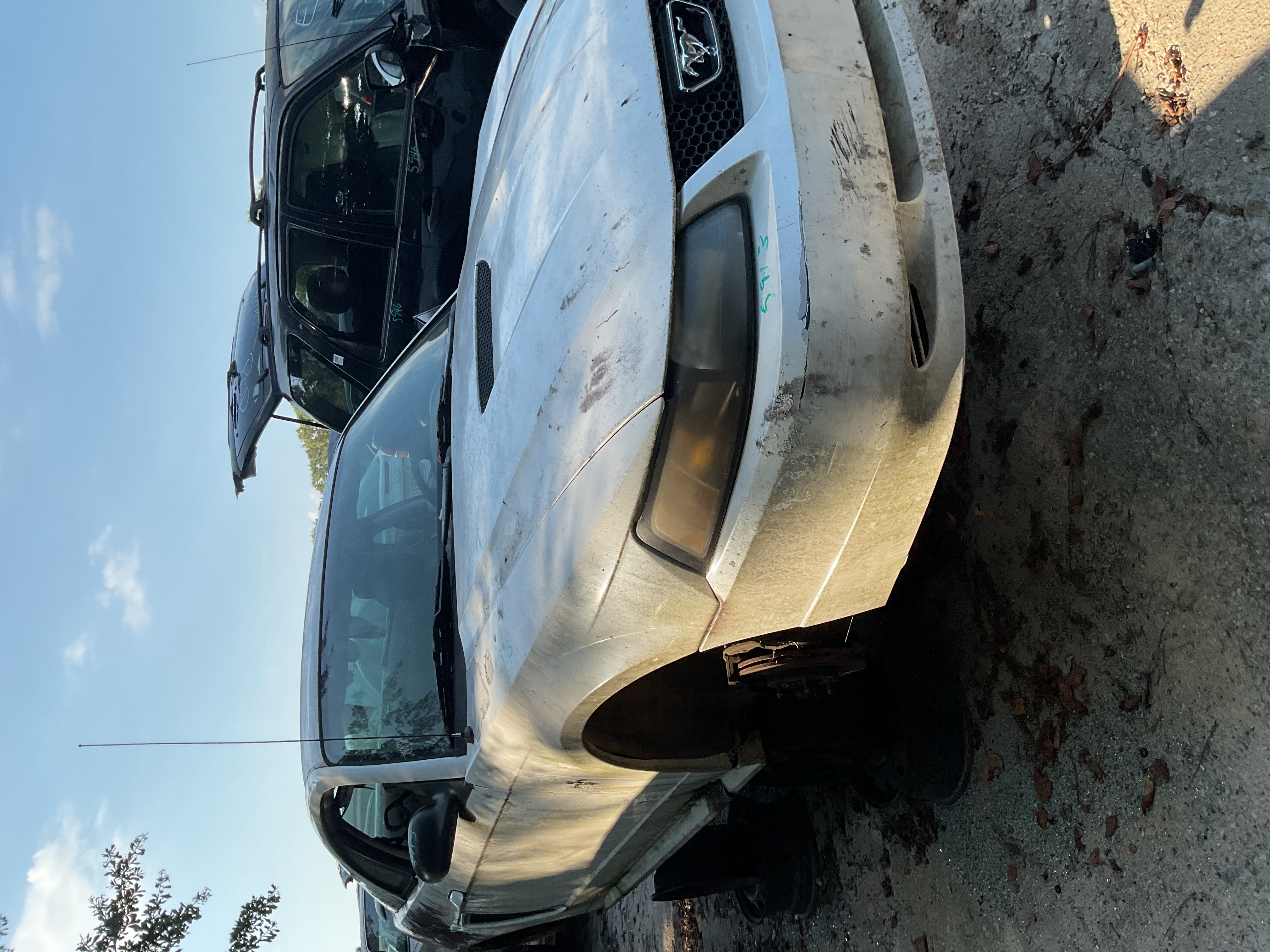 2001 FORD Mustang