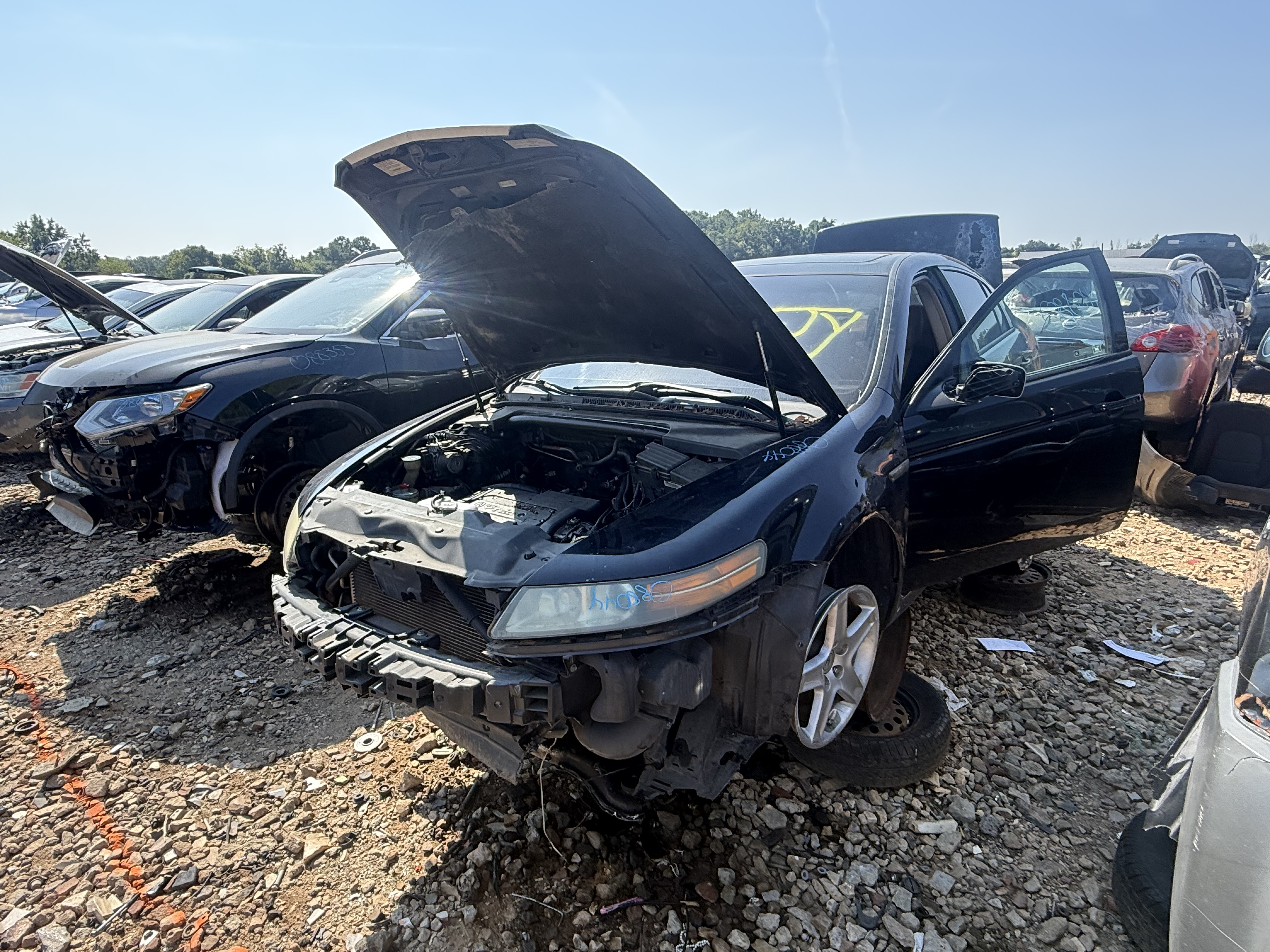2006 ACURA Tl