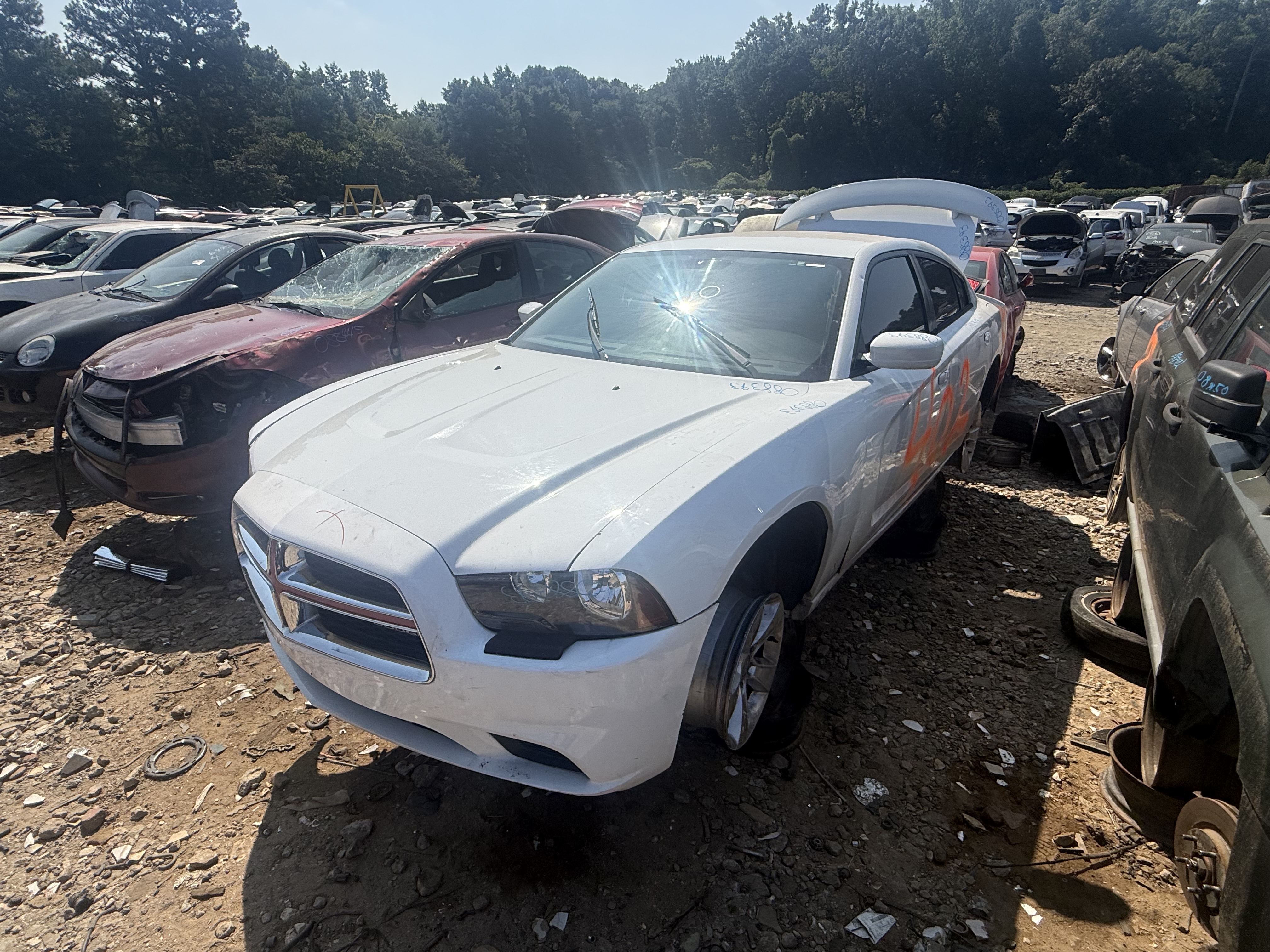 2014 DODGE Charger