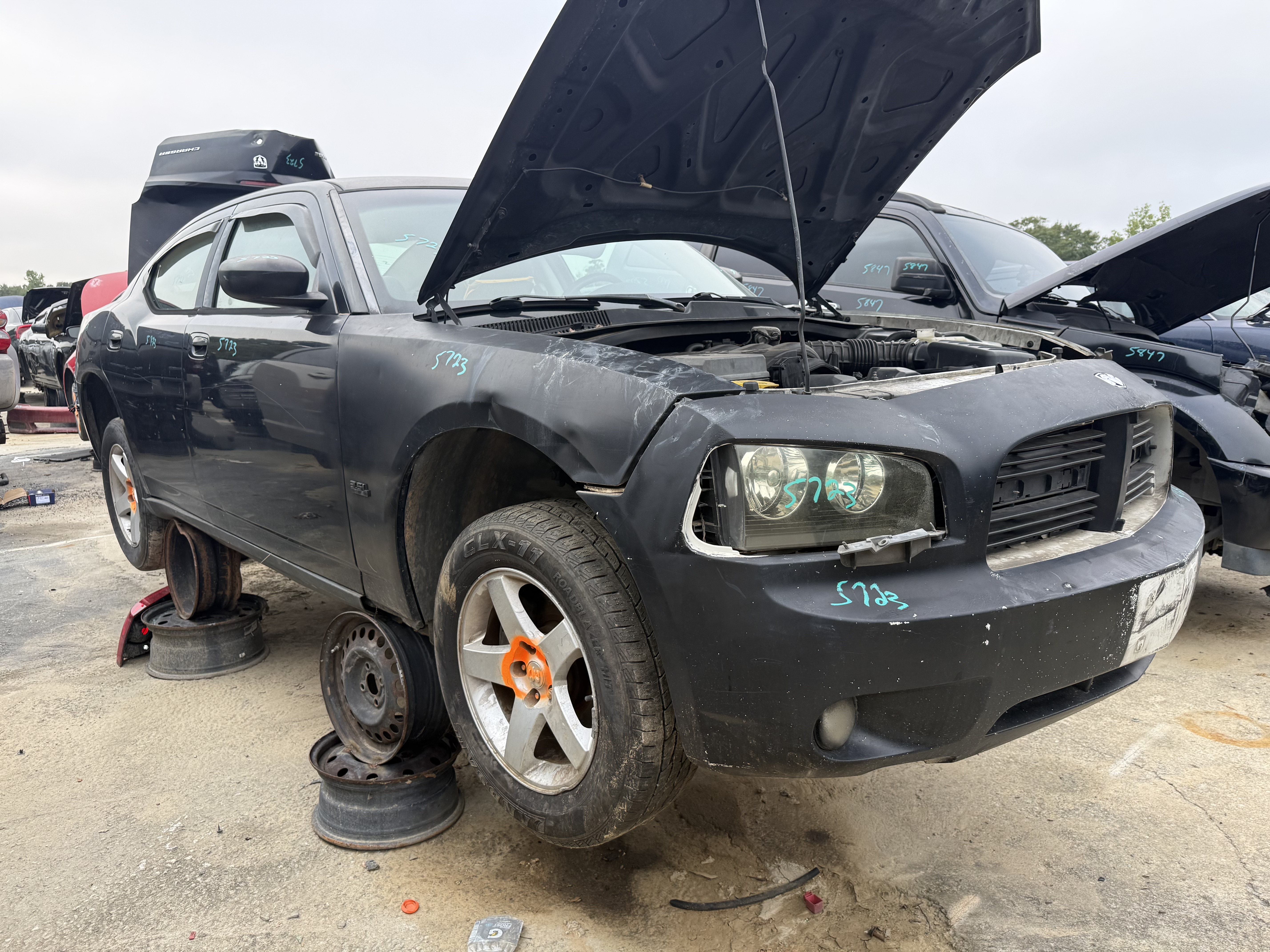 2009 DODGE Charger