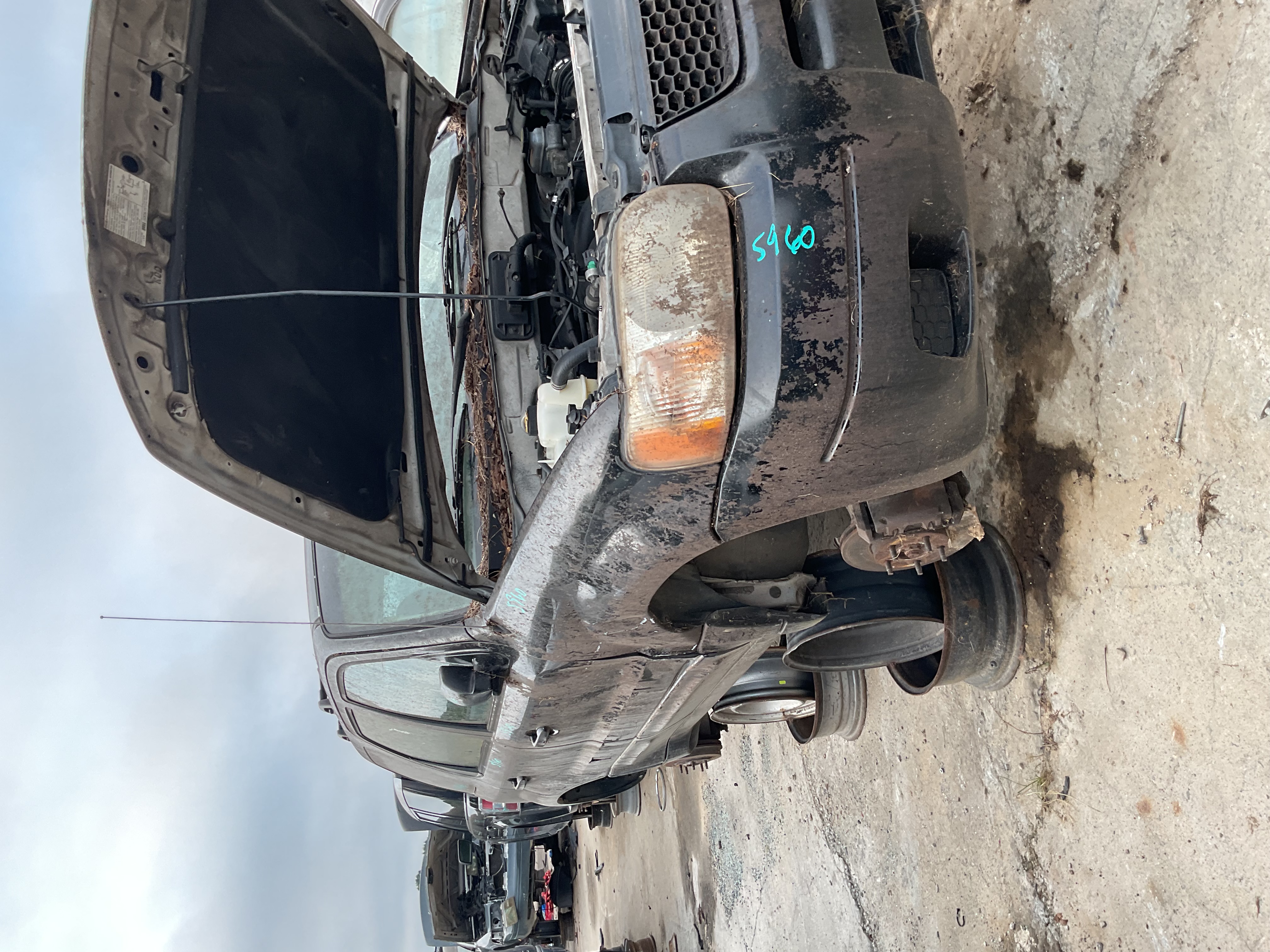 2004 FORD Escape