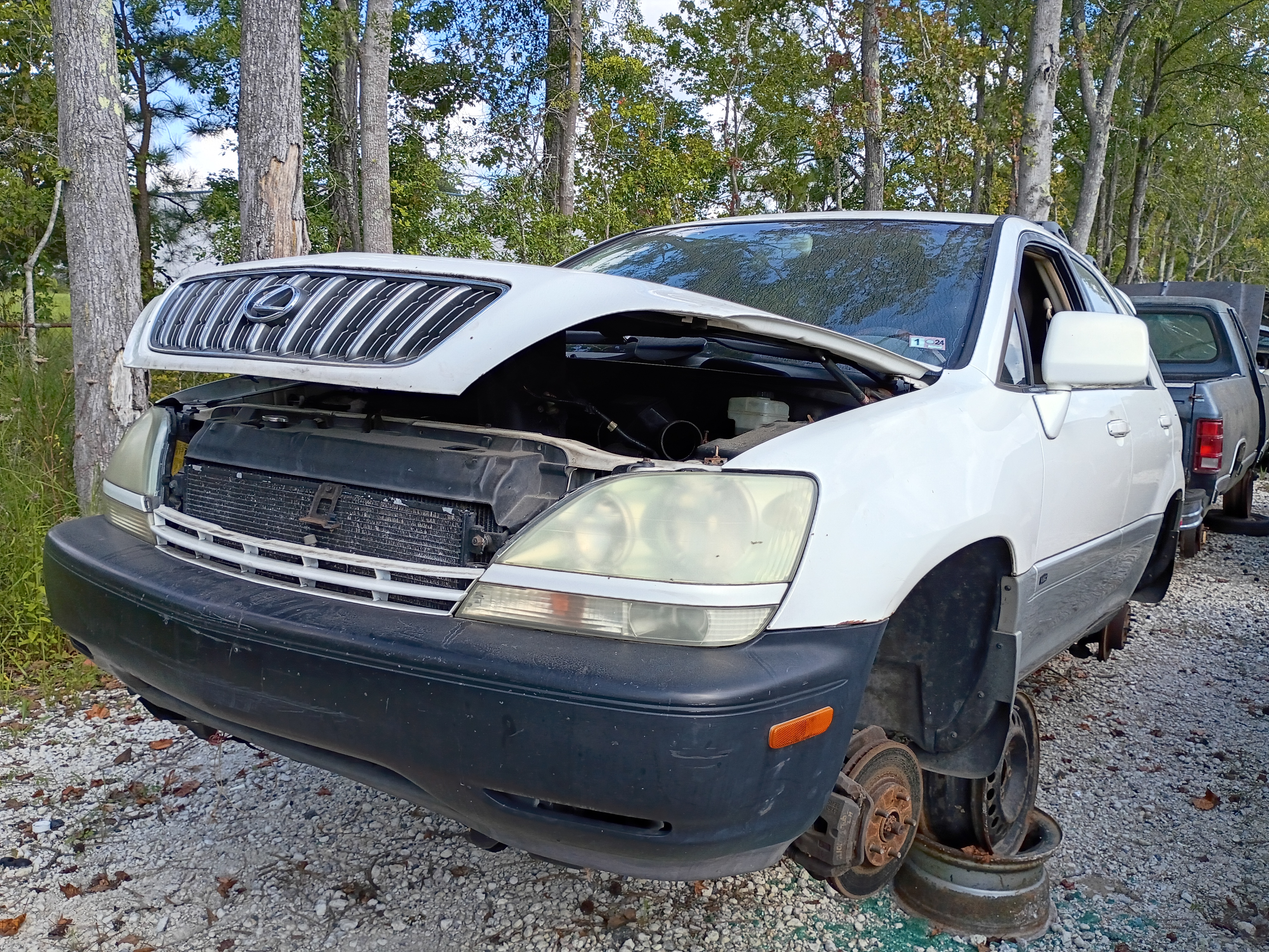2002 LEXUS RX