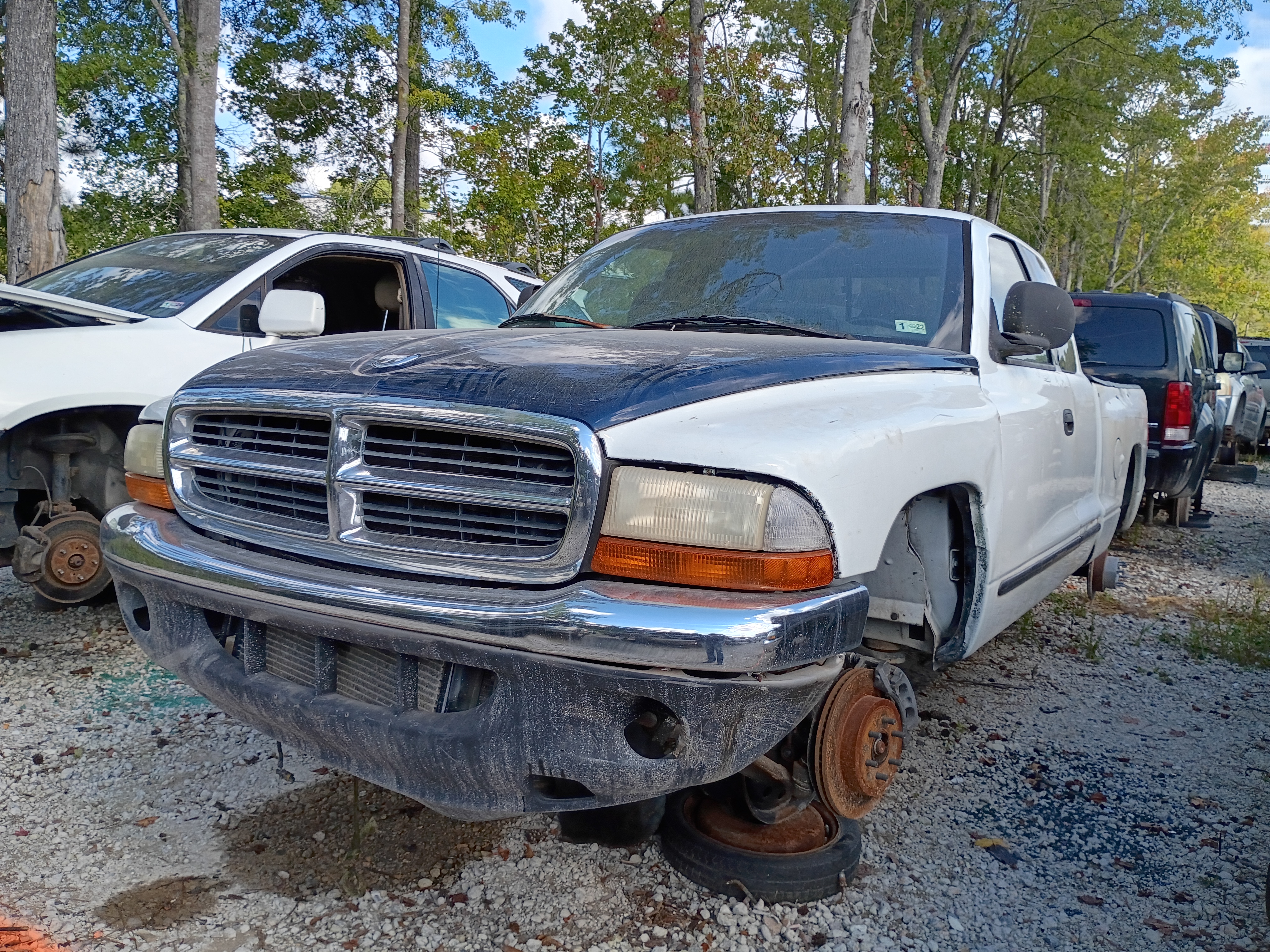 1998 DODGE Dakota